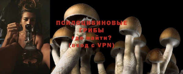 хмурый Абинск