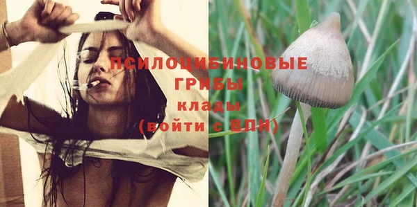 хмурый Абинск